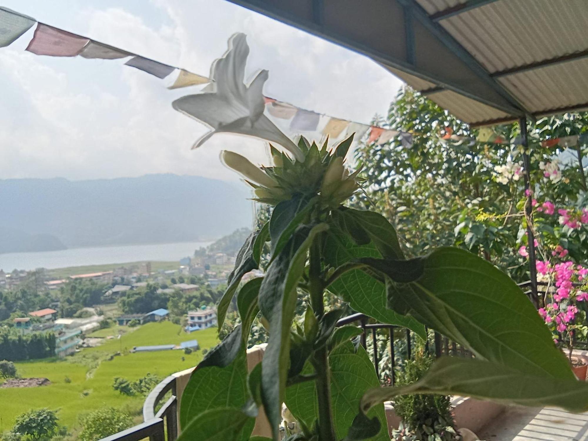 Gautam Garden Guest House โพคารา ภายนอก รูปภาพ